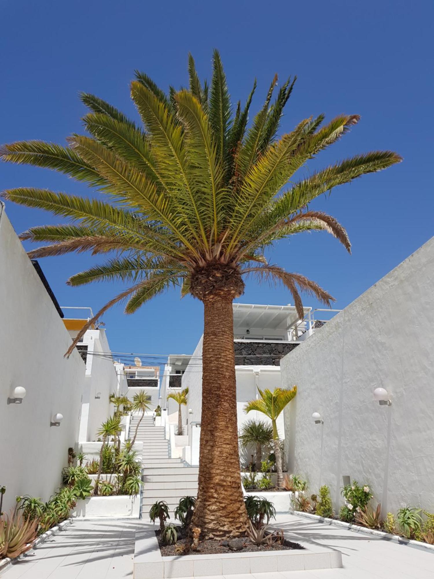Stunning 2 Bedroom Duplex Close To Main Beach With Seaviews Puerto del Carmen  Exteriör bild