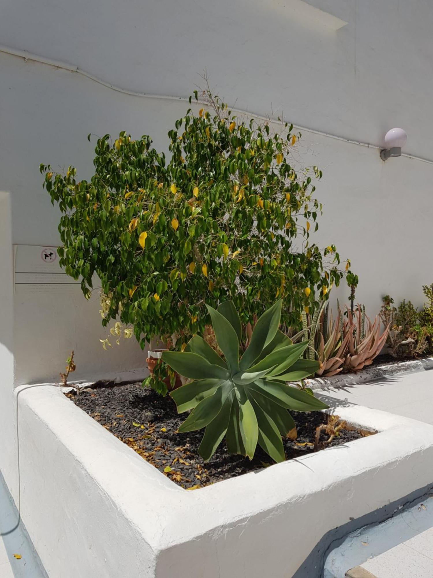 Stunning 2 Bedroom Duplex Close To Main Beach With Seaviews Puerto del Carmen  Exteriör bild
